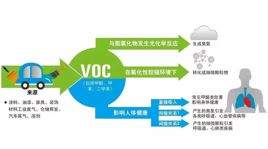 voc1.jpg