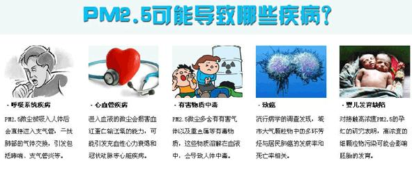 pm2.5Σ1.png