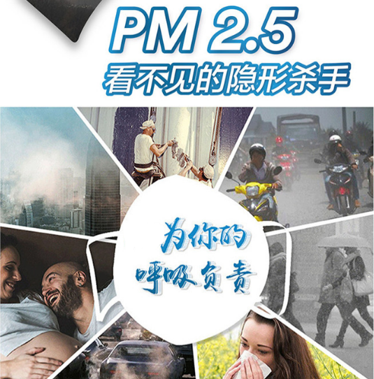 pm2.52.png